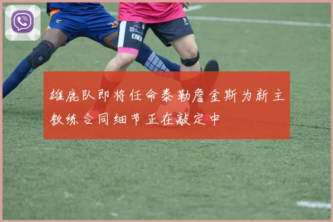 雄鹿队即将任命泰勒詹金斯为新主教练合同细节正在敲定中